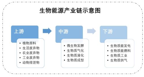 合成生物技術多維賦能能源領域 專訪合成生物學競賽評委呂雪峰