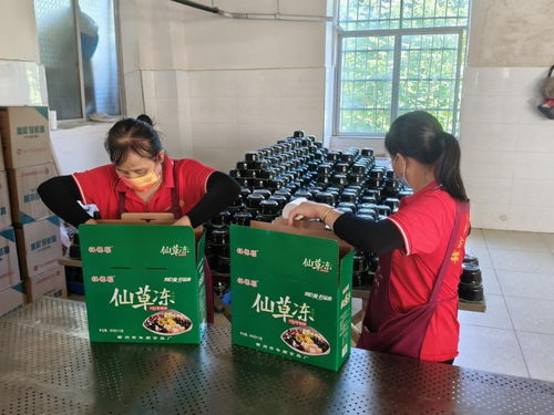 年順食品廠 守護(hù)贛南餐桌安全，共筑健康生活新未來(lái)