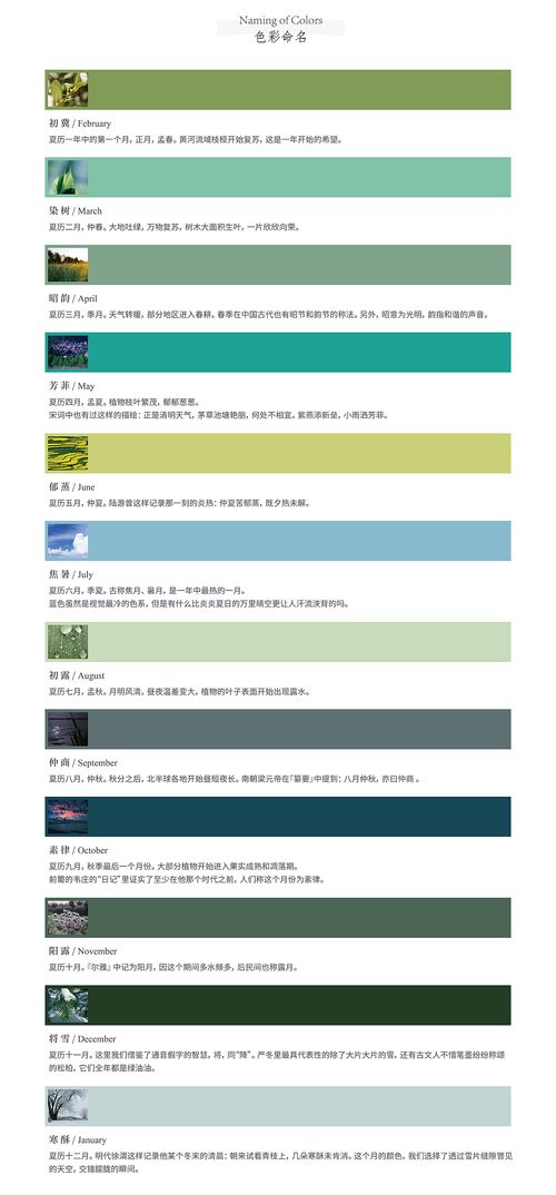 Thimple文具產(chǎn)品設(shè)計 以“喚心·青”系列引領(lǐng)數(shù)字內(nèi)容制作新潮流